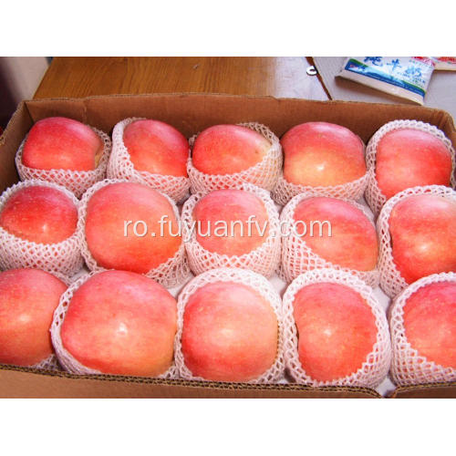 De înaltă calitate bună Gustos Shandong Fuji Apple